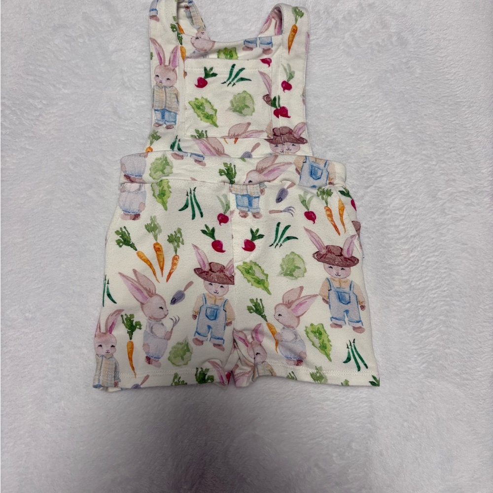 Posh Peanut Bunny Garden Shortie Overalls | 3–6 Months | VGUC